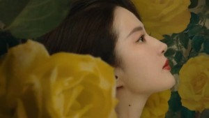 Câu Chuyện Của Hoa Hồng - The Tale of Rose