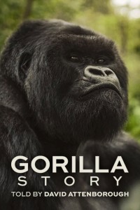 Câu Chuyện Khỉ Đột: Qua Lời Kể Của David Attenborough