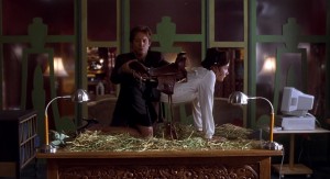 Cô Thư Ký Xinh Đẹp