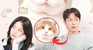 Cuộc Chiến Giành Quyền Nuôi Mèo