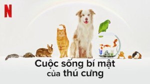 Cuộc Sống Bí Mật Của Thú Cưng - The Hidden Lives Of Pets