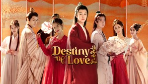 Gả Nhầm Thế Tử Phi - Destiny of Love