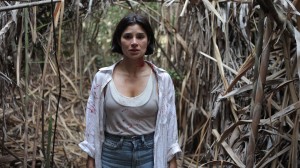 Kẻ Huýt Sáo - The Whistler