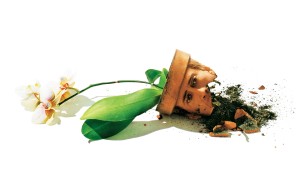 Kịch Bản Chuyển Thể - Adaptation.