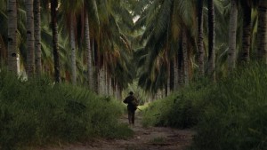 Lằn Ranh Đỏ Mỏng Manh