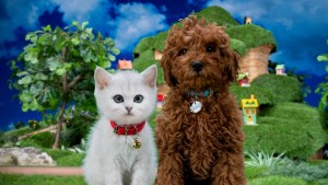 Mittens Và Pants - Mittens & Pants