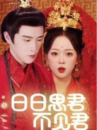 Nhớ Em Mỗi Ngày - 日日思君不见君