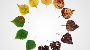 Những Kết Thúc Khác: Sáu Cách Mới Để Chết Ở Mỹ