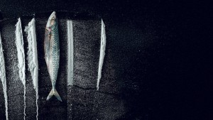 Sóng Triều Đổi Vận: Câu Chuyện Siêu Thực Về Rabo De