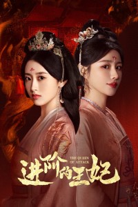 Tấn Giai Đích Vương Phi