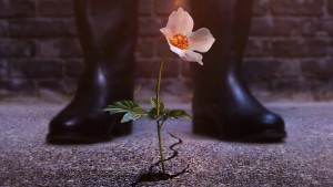 Thế Giới Của Phát Xít (Phần 2)