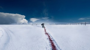 Thị Trấn Fargo - Phần 4 - Fargo - Season 4