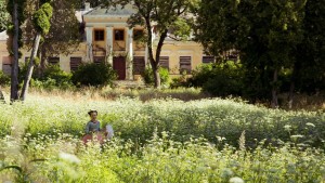 Trái Tim Bươm Bướm - A Butterfly's Heart