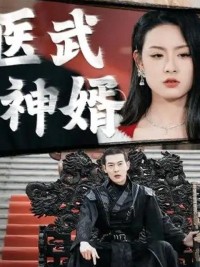 Võ Tế Thần Y - 医神武婿