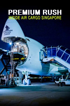 Xem phim Premium Rush Bên Trong Kho Hàng Không Singapore tập 2 PhimChill Thuyết Minh HD Vietsub Quốc Gia Khác-Premium Rush Inside Air Cargo Singapore