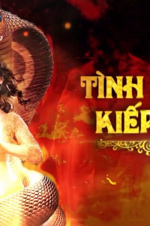 Phim Tình Người Kiếp Rắn ( 1) - Tình Người Kiếp Rắn ( 1) PhimChill Vietsub (2015)