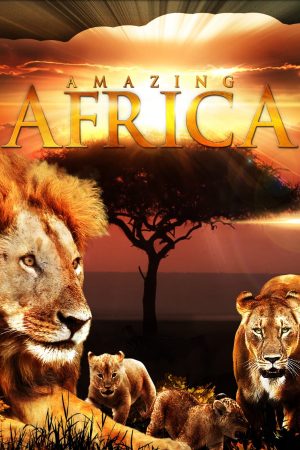 Phim Châu Phi Huyền Diệu - Amazing Africa PhimChill Vietsub (2013)