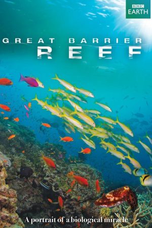 Phim Great Barrier Reef - Great Barrier Reef PhimChill Vietsub (2012)