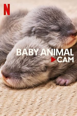 Phim Động vật bé cưng trên camera - Baby Animal Cam PhimChill Vietsub (2023)