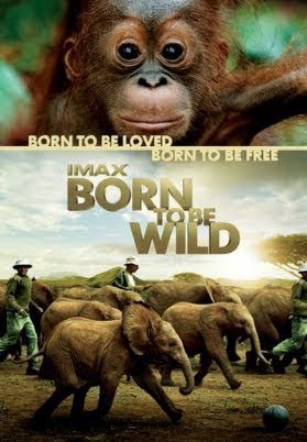 Phim Những Loài Vật Mồ Côi - Born to Be Wild PhimChill Vietsub (2011)