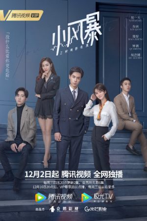 Phim Hoa Hồng Thời Gian Trong Gió - You Complete Me PhimChill Vietsub (2020)