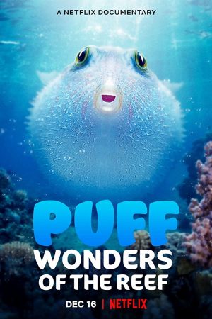 Phim Puff Rạn san hô kỳ diệu - Puff Wonders of the Reef PhimChill Vietsub (2021)