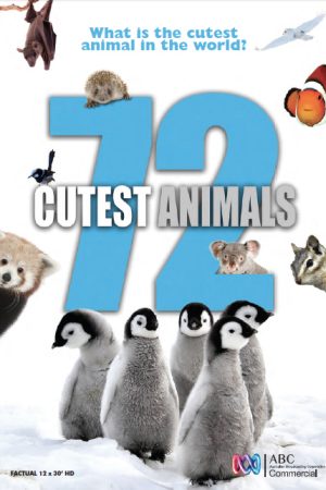 Xem phim 72 loài động vật dễ thương nhất tập 6 PhimChill Thuyết Minh HD Vietsub Quốc Gia Khác-72 Cutest Animals