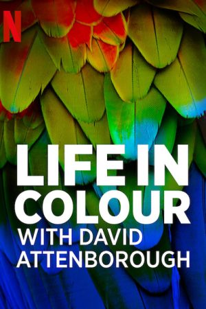 Phim David Attenborough Sự sống đầy màu sắc - Life in Colour with David Attenborough PhimChill Vietsub (2021)