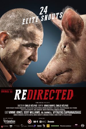 Phim Cuộc Phiêu Lưu Bất Đắc Dĩ - Redirected PhimChill Vietsub (2014)