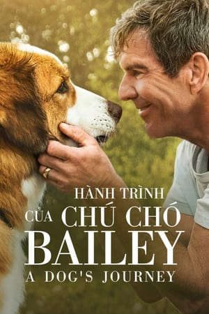 Phim Hành Trình Của Chú Chó Bailey - A Dogs Journey PhimChill Vietsub (2019)