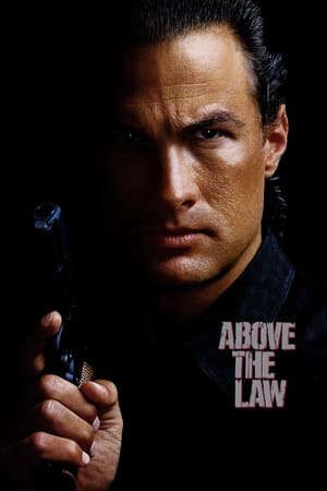 Phim Đứng Đầu Luật Pháp - Above the Law PhimChill Vietsub (1988)