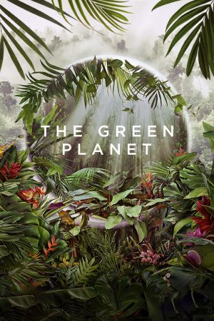 Phim Hành Tinh Xanh - The Green Planet PhimChill Vietsub (2022)