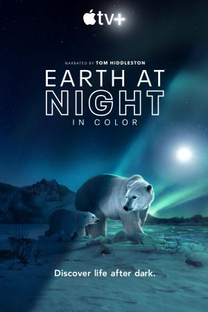 Phim Màn đêm trên Trái Đất - Night on Earth PhimChill Vietsub (2020)