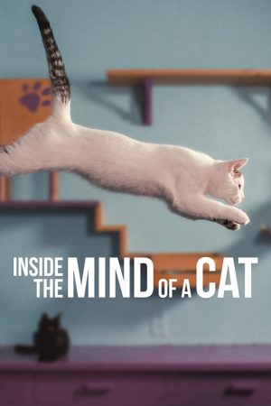 Phim Những chú mèo nghĩ gì - Inside the Mind of a Cat PhimChill Vietsub (2022)