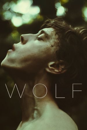 Phim Sói trong lốt người - Wolf PhimChill Vietsub (2021)