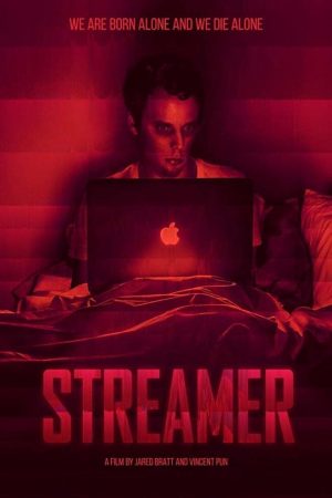 Phim Bạn Gái Ảo - Streamer PhimChill Vietsub (2016)