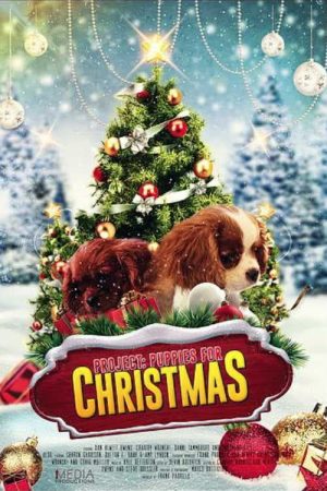 Phim Quà Giáng Sinh Bất Ngờ - Project Puppies for Christmas PhimChill Vietsub (2019)