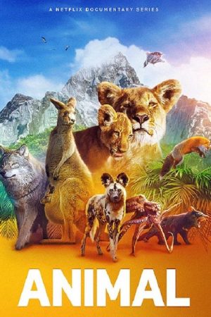 Phim Động vật ( 2) - Animal (Season 2) PhimChill Vietsub (2022)