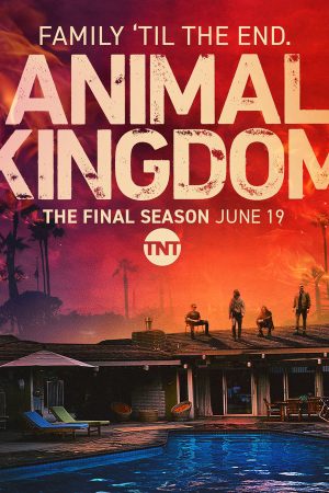 Xem phim Vương quốc động vật ( 6) tập 1 PhimChill Thuyết Minh HD Vietsub Phim Mỹ-Animal Kingdom (Season 6)