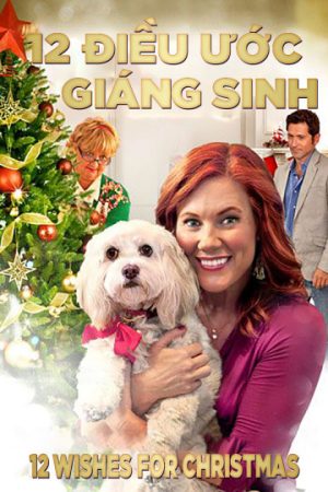 Phim 12 Điều Ước Giáng Sinh - 12 Wishes For Christmas PhimChill Vietsub (2011)