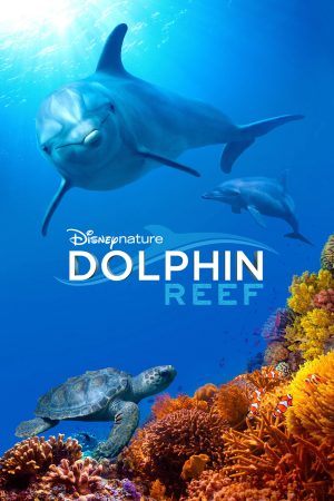 Phim Rạn San Hô Cá Heo - Dolphin Reef PhimChill Vietsub (2018)