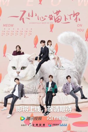 Phim Bất Cẩn Meow Phải Anh - Accidentally Meow On You PhimChill Vietsub (2022)