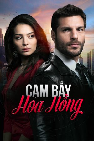 Phim Cạm Bẫy Hoa Hồng - New Life PhimChill Vietsub (2020)