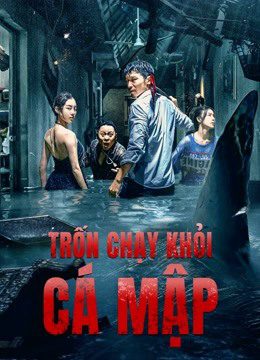 Phim Trốn Chạy Khỏi Cá Mập - Escape of Shark PhimChill Vietsub (2021)