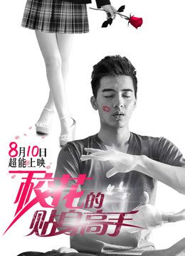 Phim Cao Thủ Cận Vệ Của Hoa Khôi - Mr Bodyguard PhimChill Vietsub (2015)