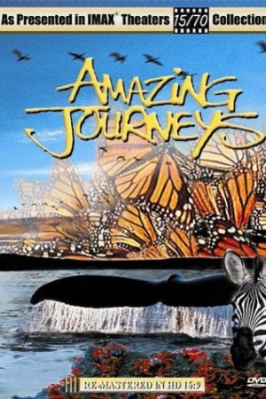 Phim Hành Trình Kinh Ngạc - Amazing Journeys PhimChill Vietsub (1999)