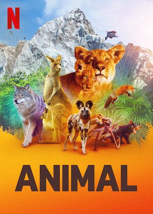 Phim Động vật ( 1) - Animal (Season 1) PhimChill Vietsub (2021)