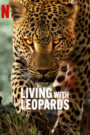 Phim Living with Leopards - Living with Leopards PhimChill Vietsub (2024)