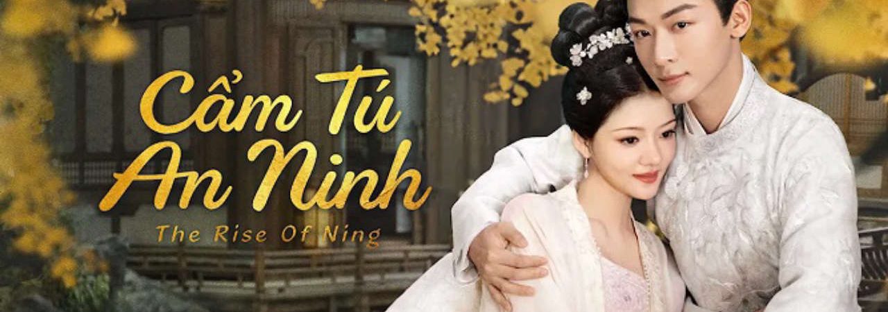 Poster of Cẩm Tú An Ninh