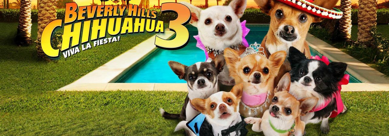 Phim Những Chú Chó Chihuahua 3 - Beverly Hills Chihuahua 3 Viva la Fiesta PhimChill Vietsub (2012)